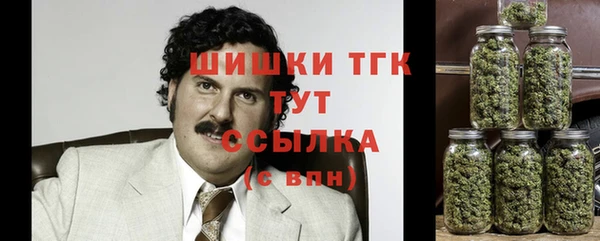 прущий лед Пересвет