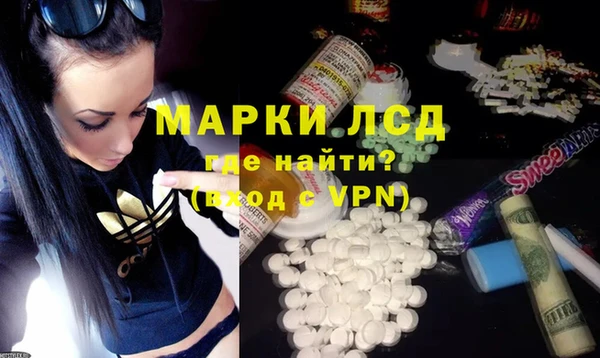 стаф Осинники