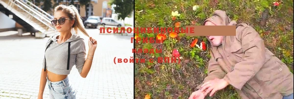 тгк Губаха