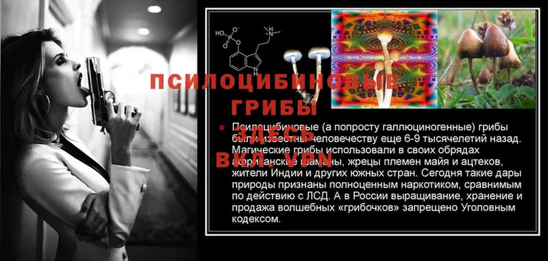 Псилоцибиновые грибы MAGIC MUSHROOMS  купить закладку  Воронеж 