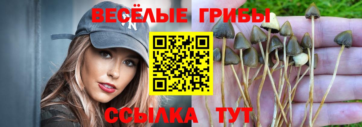 Псилоцибиновые грибы Magic Shrooms Воронеж