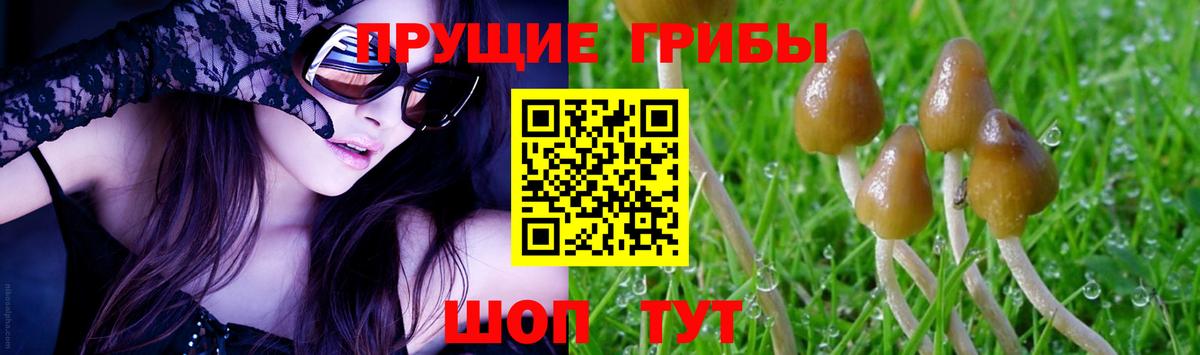 Псилоцибиновые грибы прущие грибы  Вход с VPN  Псилоцибиновые грибы Cubensis  Воронеж 